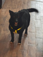 /album/18/whatsapp-image-2026-04-17-at-11-01-11-4-jpeg/